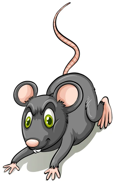 Black rat — Stock Vector