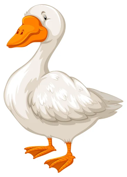 Goose — Stock Vector