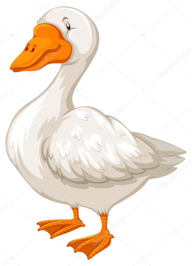 Goose