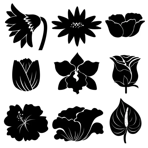 Flowers — Stock Vector