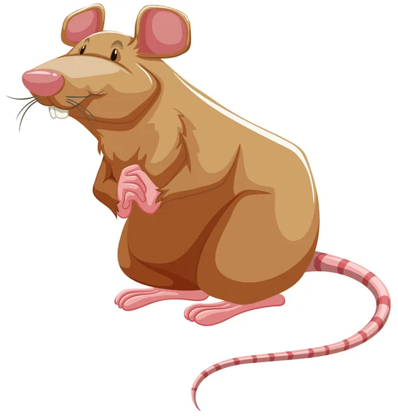 Rato castanho — Vetor de Stock