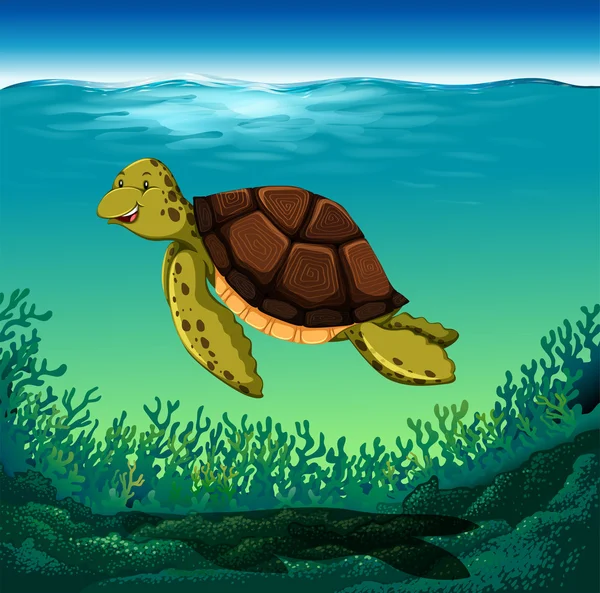 Zeeschildpad — Stockvector