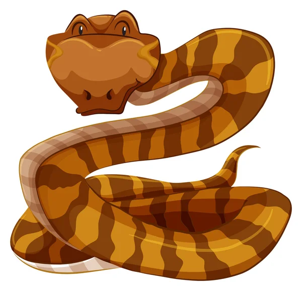 Schlange — Stockvektor