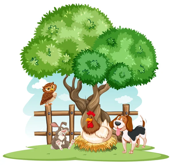 Animals — Stock Vector