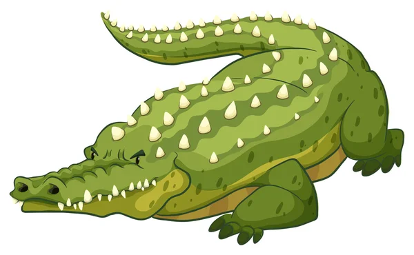 Crocodilo — Vetor de Stock