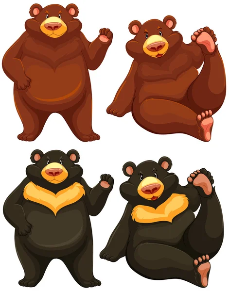 Bears — Stock Vector