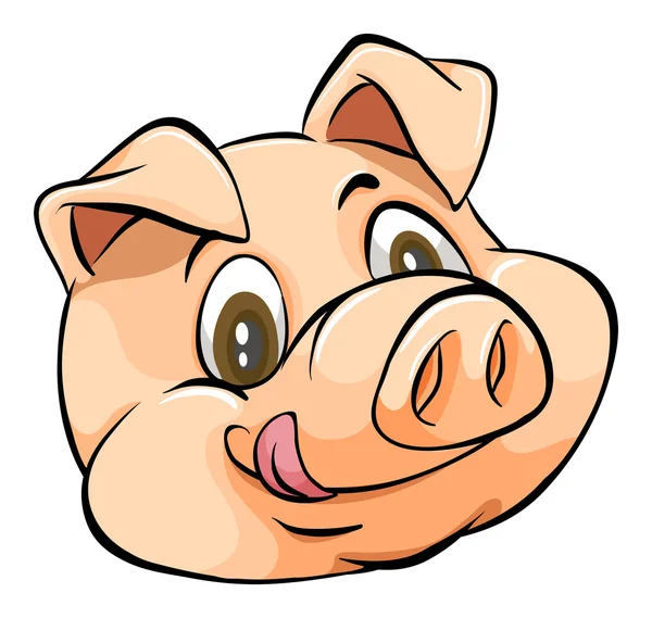 Pig Head — Stock Vector