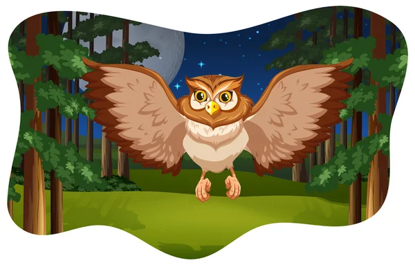 Owl flying — Stock Vector