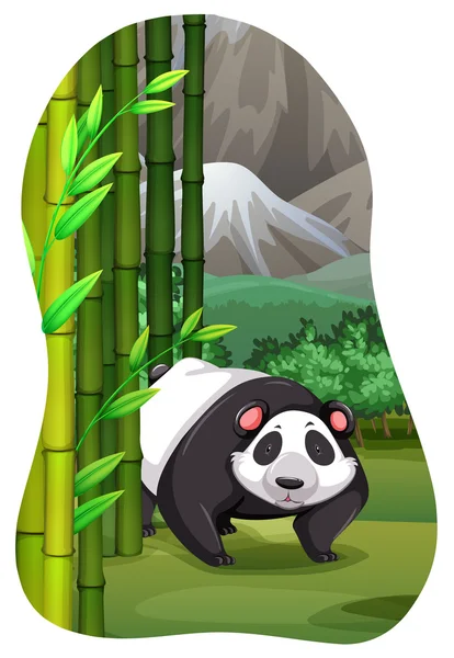 Panda. —  Vetores de Stock