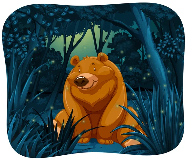 Bear and fireflies — Stock Vector