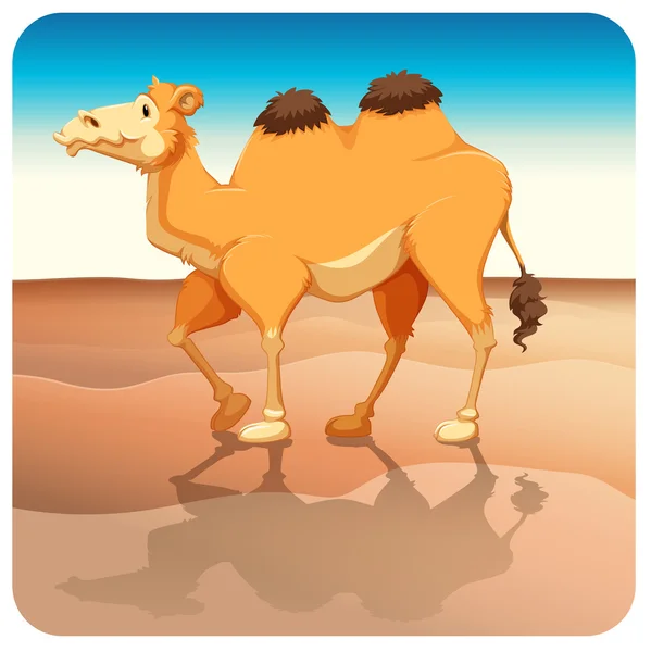 Camel - Stock Vector. 