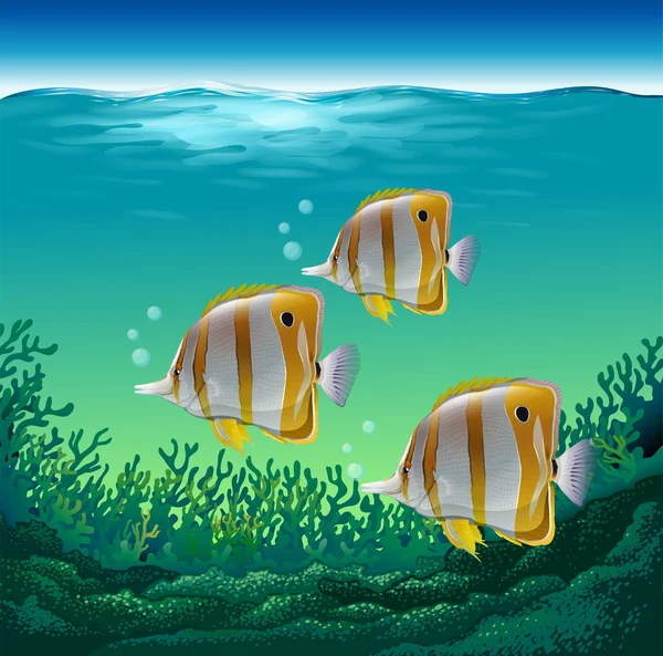 ปลาทะเล — ภาพเวกเตอร์สต็อก