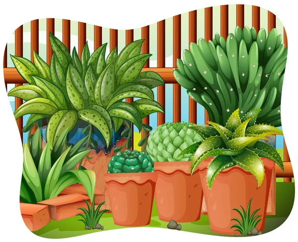 Plantas en maceta — Vector de stock