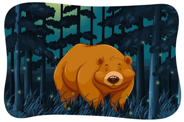 Bear and fireflies Vector Graphics