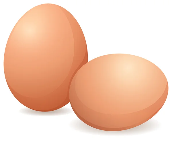 Raw eggs — Stock Vector
