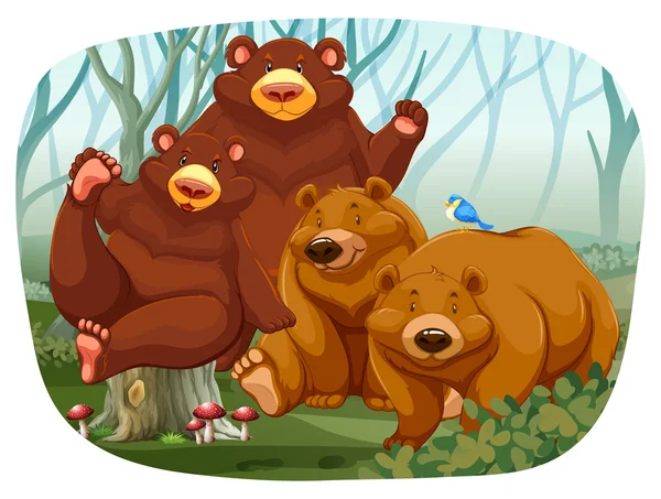 Bears — Stock Vector