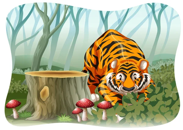 Tiger — Stock Vector