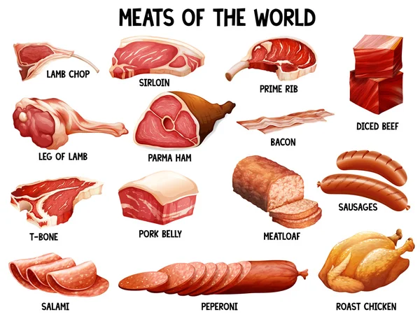 La carne del mundo — Vector de stock