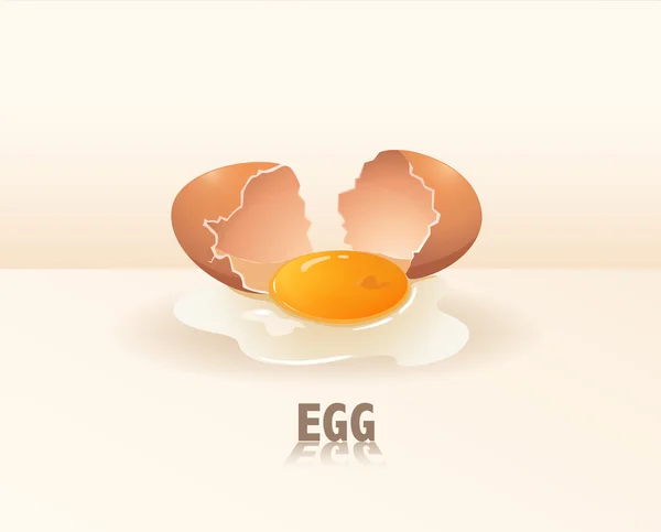 Yumurta sarısı — Stok Vektör