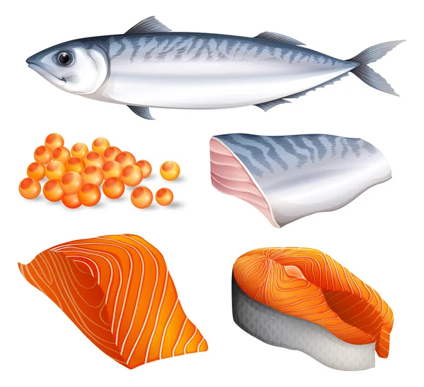 Zalm — Stockvector