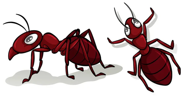 Ant clipart Vector Art Stock Images | Depositphotos Ant clipart Vector Art Stock Images | Depositphotos