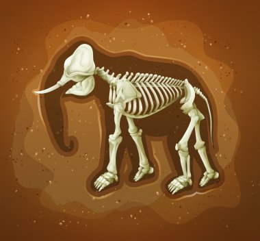 Fossil of a wooly mamoth clipart