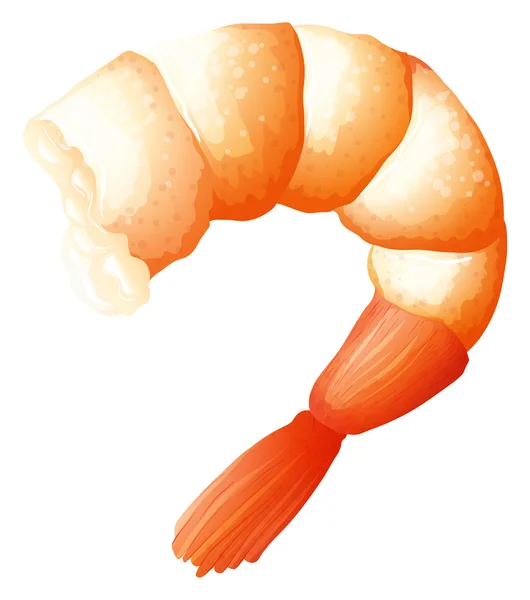 Queue de crevettes sur blanc — Image vectorielle