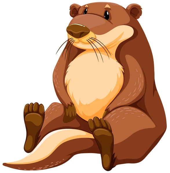 Nutria única en blanco — Vector de stock