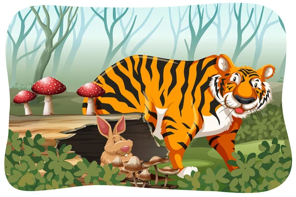 Тигр в джунглях — стоковый вектор