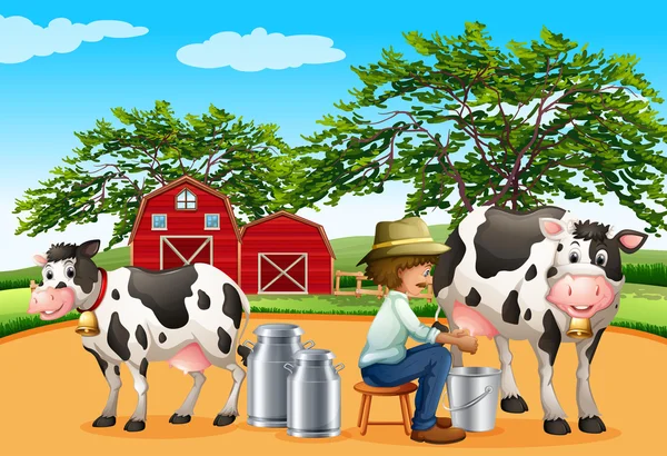 Milking — Stock Vector