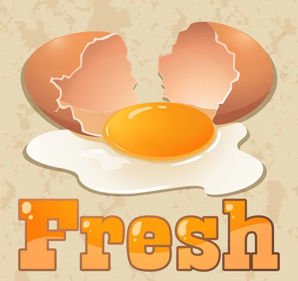 Fresh egg — Stock Vector