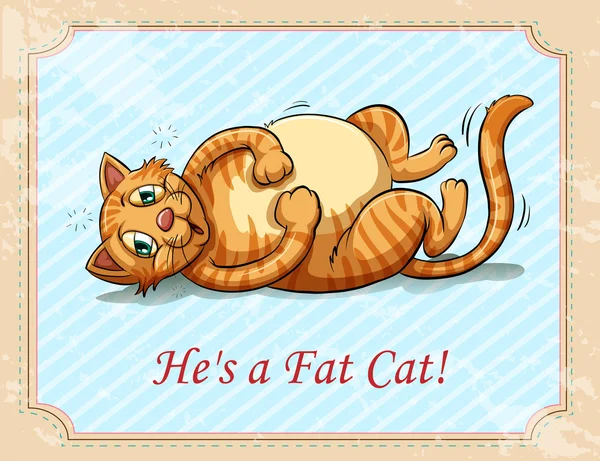 Fat cat — Stock Vector