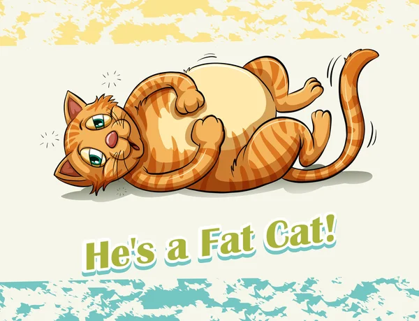 Fat cat — Stock Vector