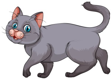 Genç yavru kedi beyaz gri