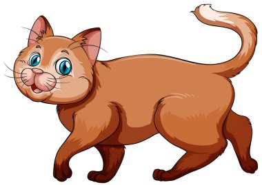 Beyaz arka planda kedi yavrusu