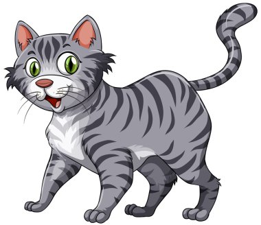 Kedi.