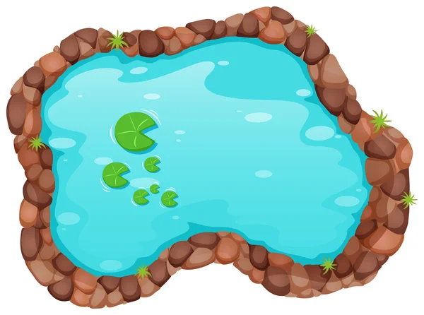 Small pond — Stock Vector