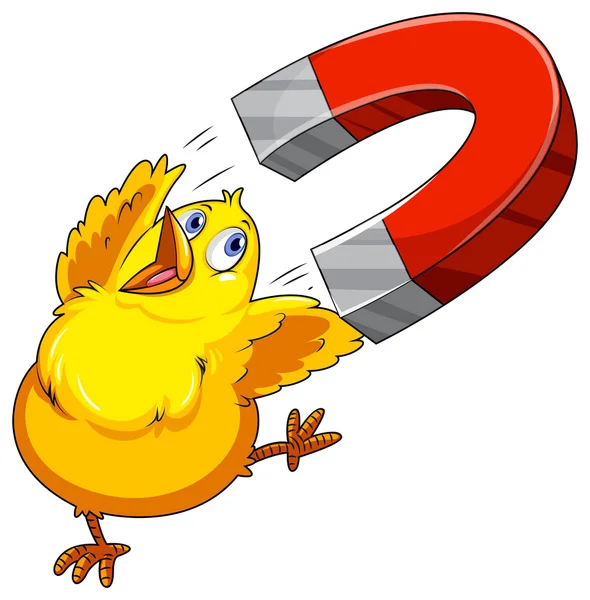 Chick магніт — стоковий вектор