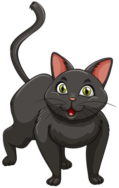 Tek başına duran kara kedi