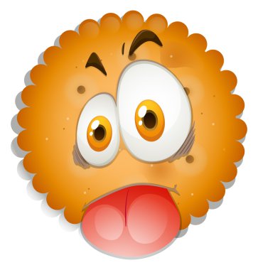 Aptal yüz tanımlama bilgisi