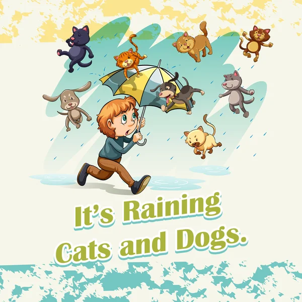 Idiom raining cats and dogs — Stock Vector