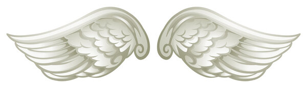 Pair of white wings