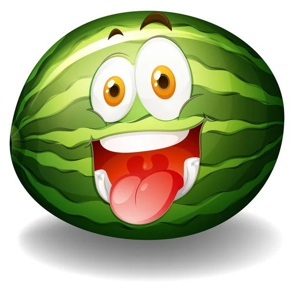 Happy facial expression on watermelon — Stock Vector