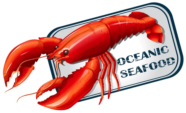 Concept de boîte de fruits de mer homard — Image vectorielle