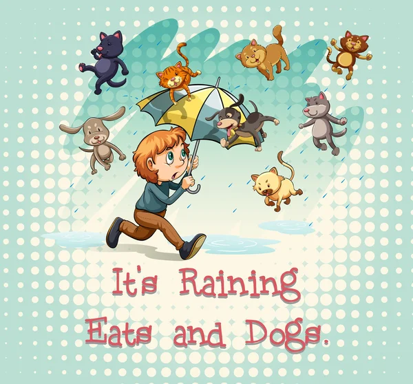 Έβρεχε γάτες και σκύλους — Διανυσματικό Αρχείο