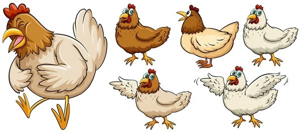 Pollo de granja en diferentes poses — Vector de stock