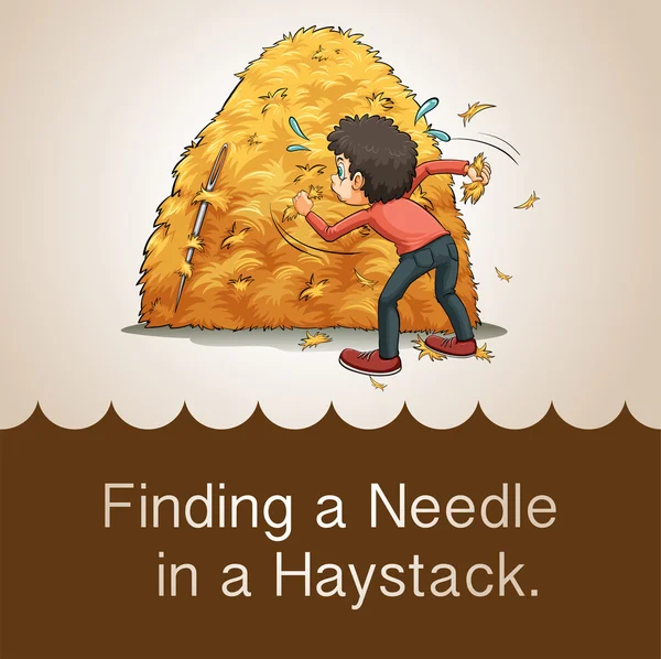Finding needle in haystack — Stock Vector