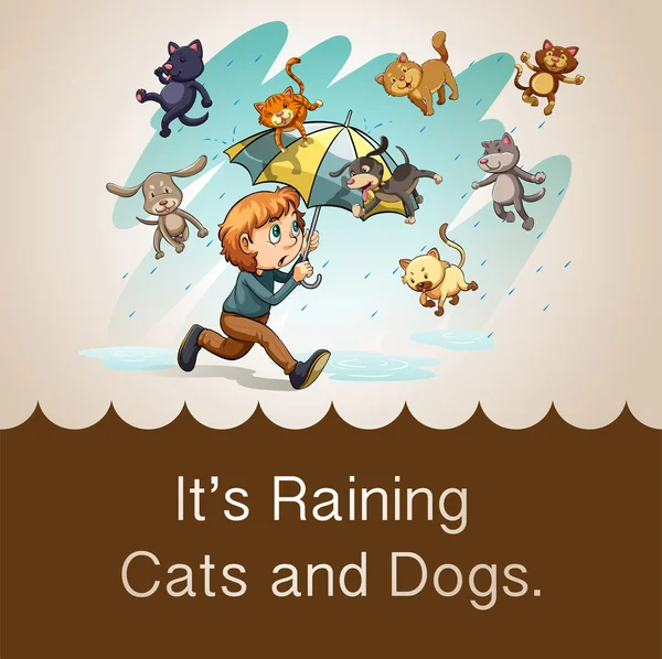 Es regnet Katzen und Hunde — Stockvektor