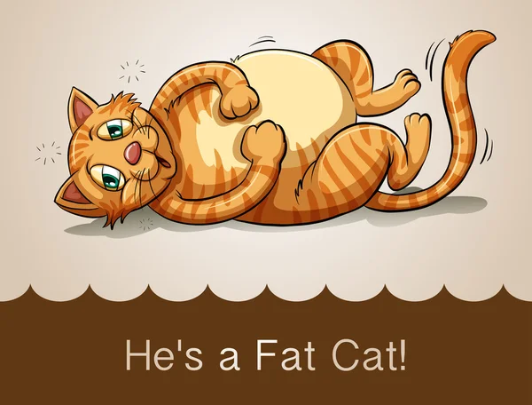 Жирный кот лежит на спине — стоковый вектор