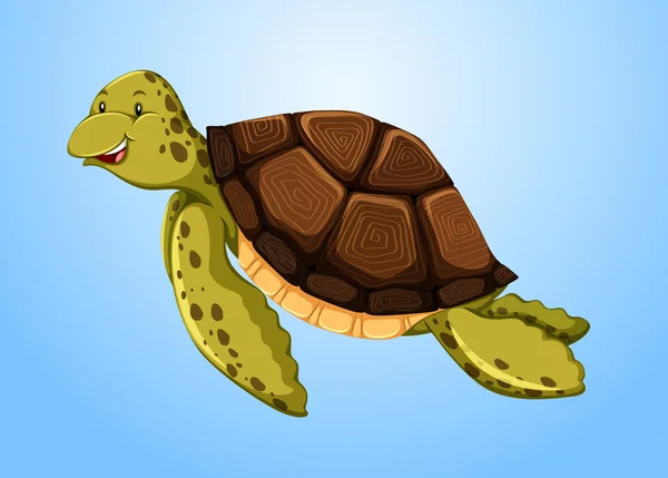 La tortue nage dans l'océan — Image vectorielle